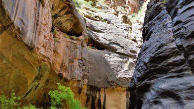 Start of the Zion Narrows Hike