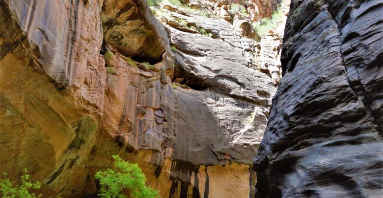Start of the Zion Narrows Hike