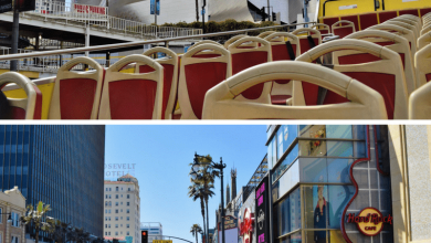 Hop On Hop Off Bus Los Angeles review