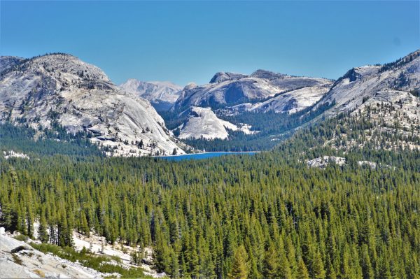 Lake, Yosemite National Park, California
