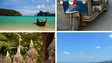 Reasons to visit Thailand