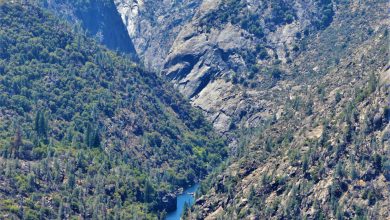 Water at Hetch Hetchy, Yosemite, California