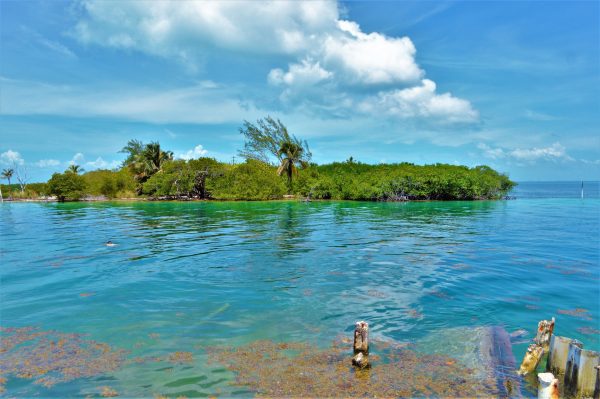 The Split, Caye Caulker, Belize