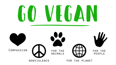 vegan world tour