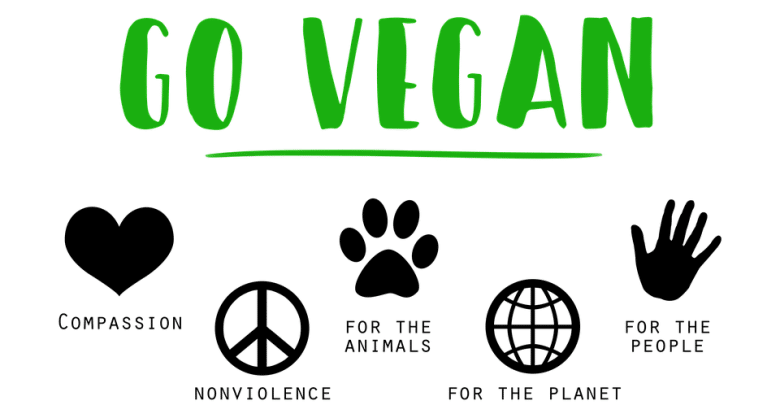 vegan world tour