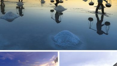 Top things to do in Vietnam