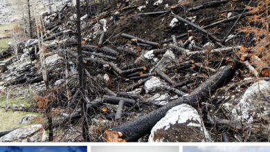 Adventurous Things To Do In Canada