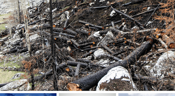 Adventurous Things To Do In Canada