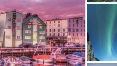 Reasons to book your trip to Norway