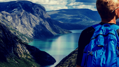 Top Electronic travel hacks