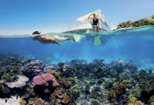 Photo of Top Reasons To Go For A Reef Tour This Year