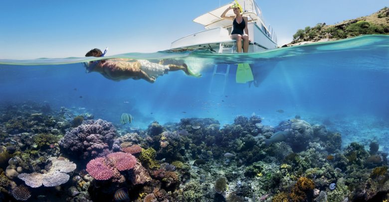 Top Reasons To Go For A Reef Tour This Year