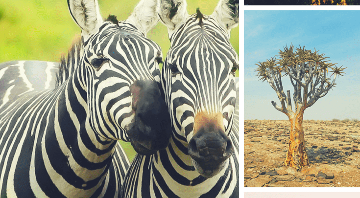 Why you should travel to africa this year