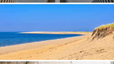 advice booking a trip