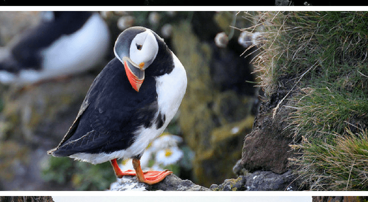 Iceland's natural beauty