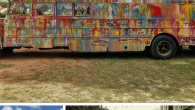 Unusual Types of Transportation (1)