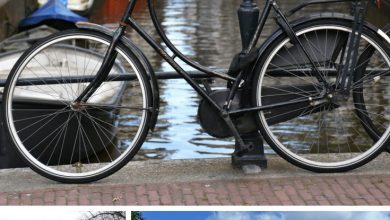 TOP THINGS TO DO IN AMSTERDAM