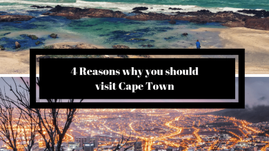 4 Reasons why you should visit Cape Town