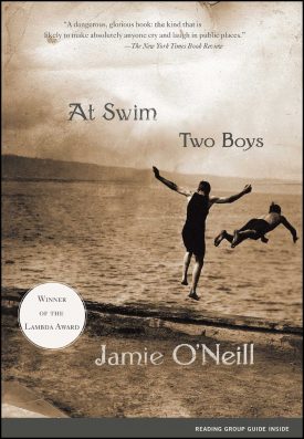 At Swim, Two Boys by Jamie O'Neill top gay fiction reads