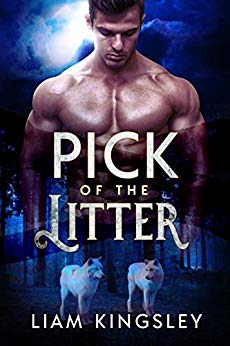 Pick of the Litter by Liam Kingsley best gay fiction novels