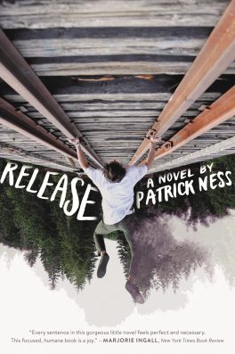 Release by Patrick Ness best gay fiction novels