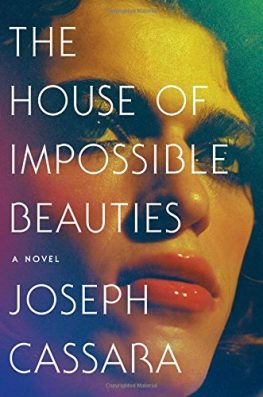 The House of Impossible Beauties by Joseph Cassara best gay fiction novels