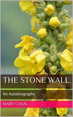 The Stone Wall- An Autobiography by Mary Casal best lesbian non fiction reads