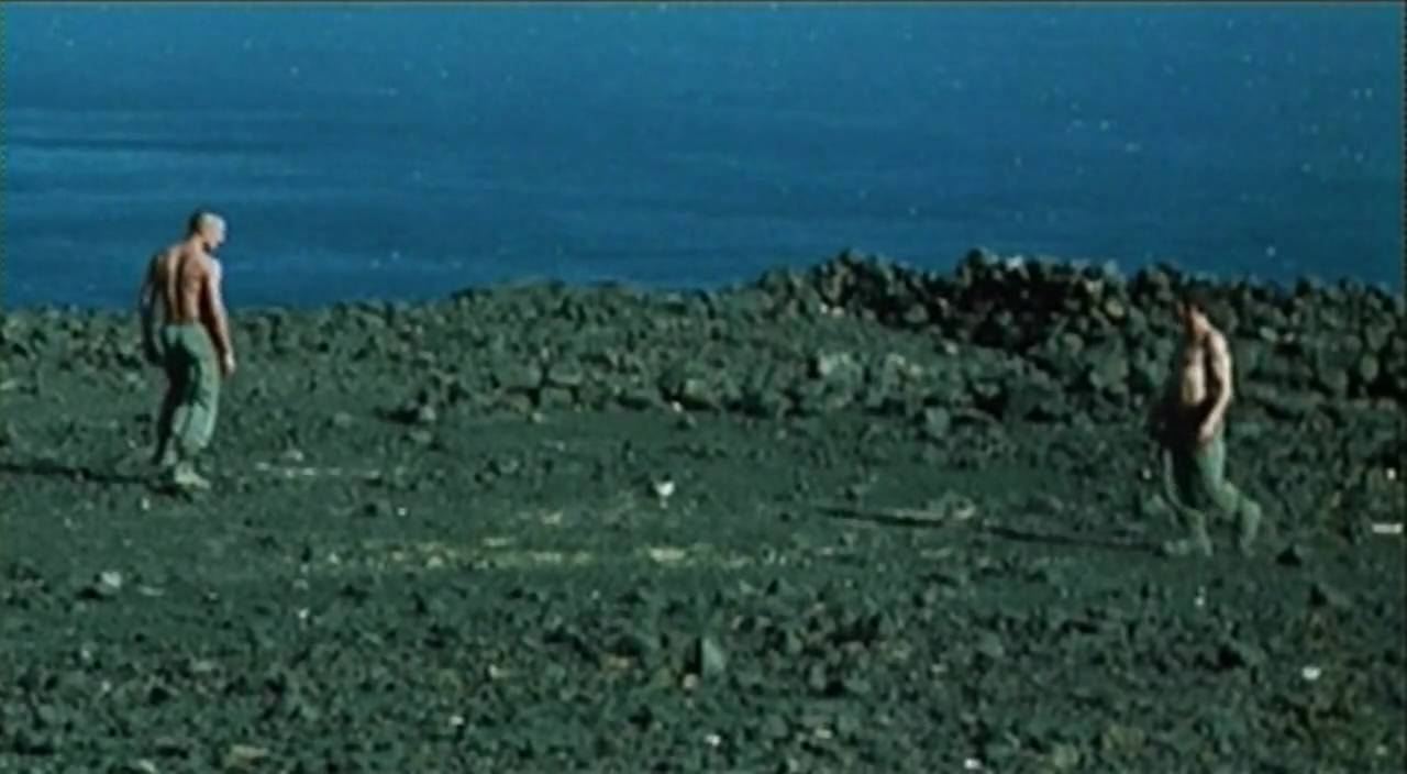 beau trevail best gay movies