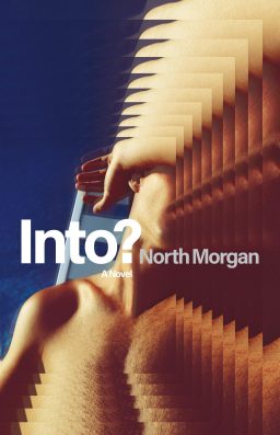 into? by north morgan best gay fiction books