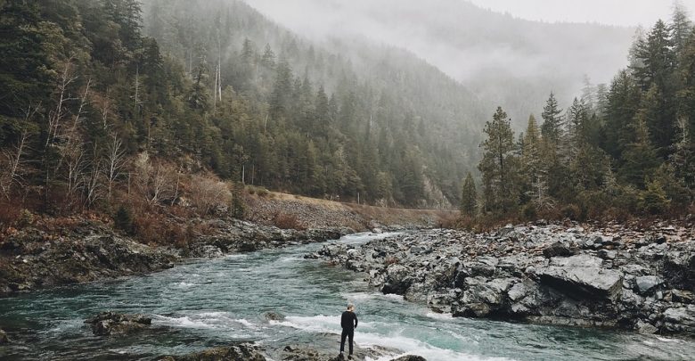 volunteer abroad free accomodation