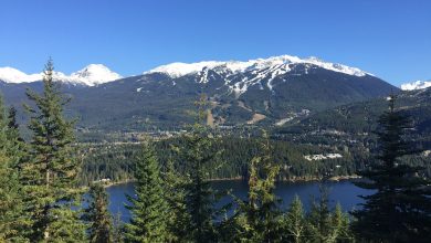 Whistler