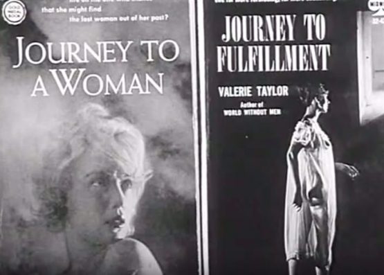 Nitrate Kisses, Barbara Hammer, best lesbian movies