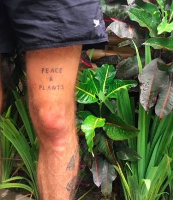 Best peace and plants tattoo ideas