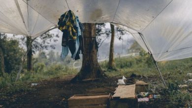 Clear tarp uses and tips