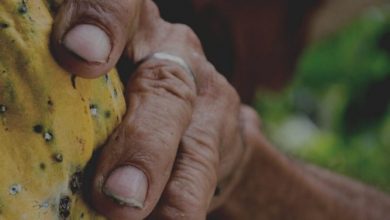how to run your own cacao ceremony