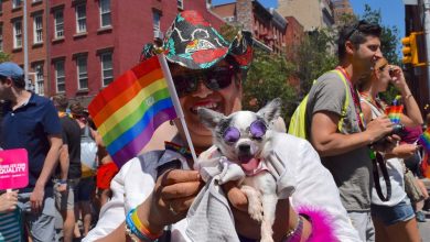 lgbtqia pride service animal