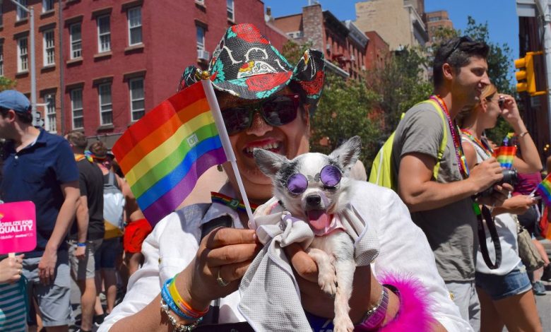lgbtqia pride service animal