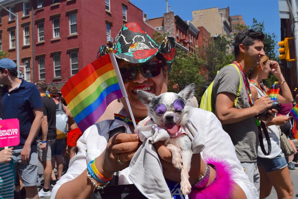 lgbtqia pride service animal
