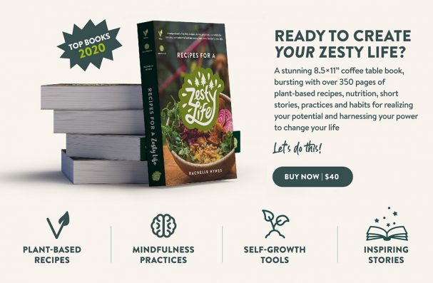 recipes for a zesty life vegan recipe book