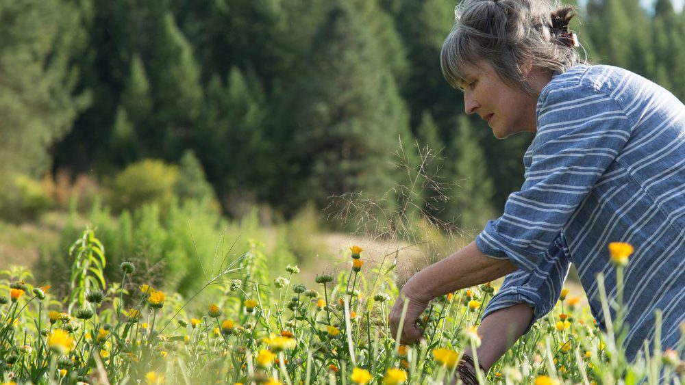 evan healy skin care review