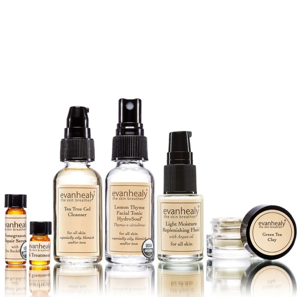 evan healy purifying ritual skin care review