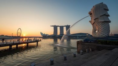 tips to have the best time in singapore