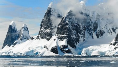 best antartica cruises bucket list