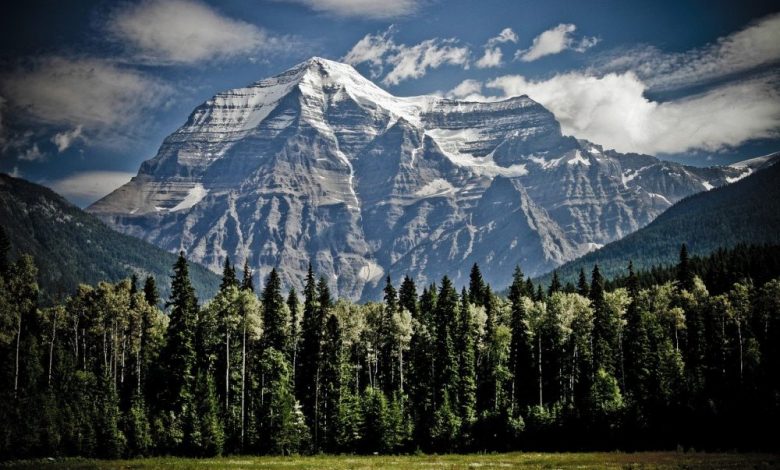 Canadian immigration simplified