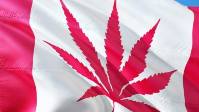 legal cannabis across the world