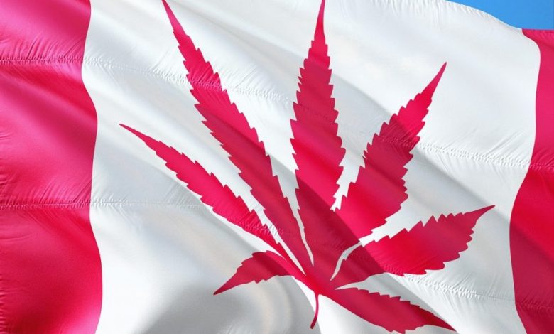 legal cannabis across the world