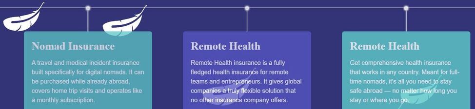 safety wing travel insurance policy types