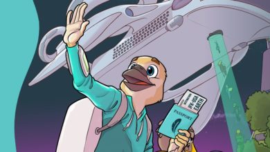 safetywing travel insurance review