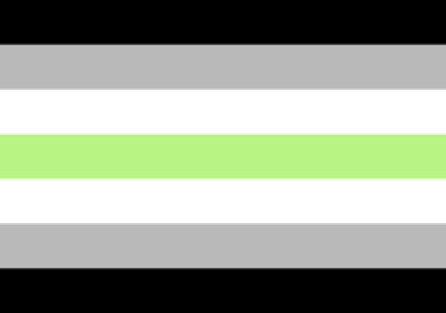 agender pride flag define lgbt acronym