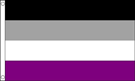 asexual-pride-flag lgbtq meaning